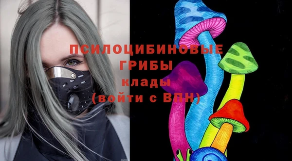гашик Володарск